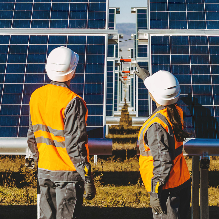 Workers surveying solar panels